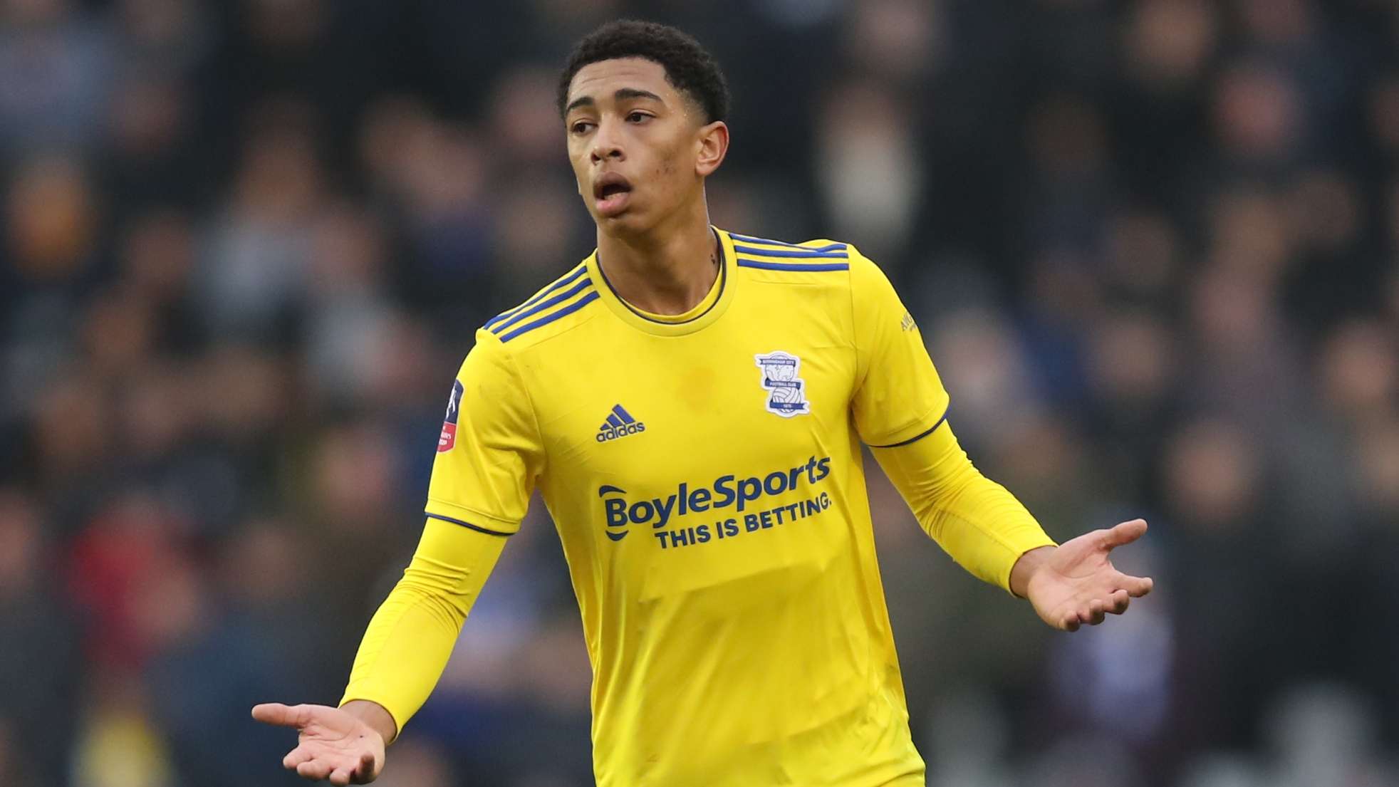 从经济角度 从经济角度